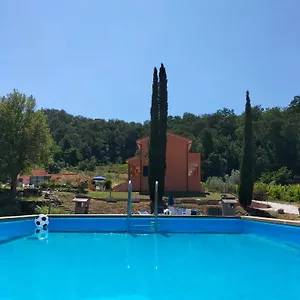 Regno Di Toscana Collesalvetti